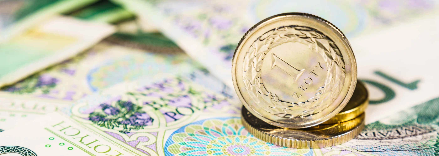 Zdjęcie przedstawia polskie banknoty i monety