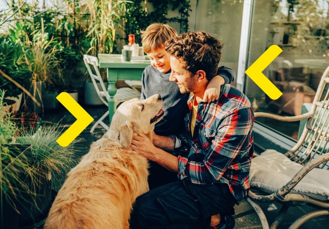 Ojciec patrzy z miłością na swojego pięknego golden retrievera - obok stoi jego syn 