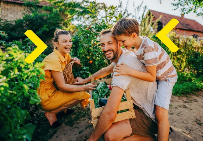 Trzyosobowa rodzina zbiera warzywa w ogrodzie 