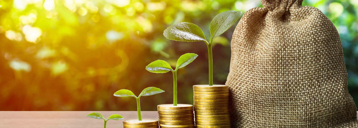 Zdjęcie przedstawia trzy młode rośliny rosnące na stosach złotych monet, symbolizujące rozwój finansowy i inwestycje. Obok znajduje się worek.
